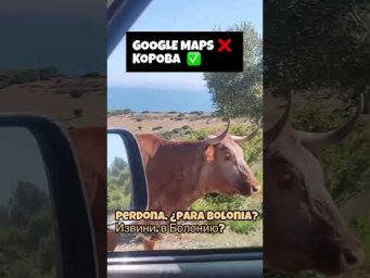 Корова вместо Google Maps 