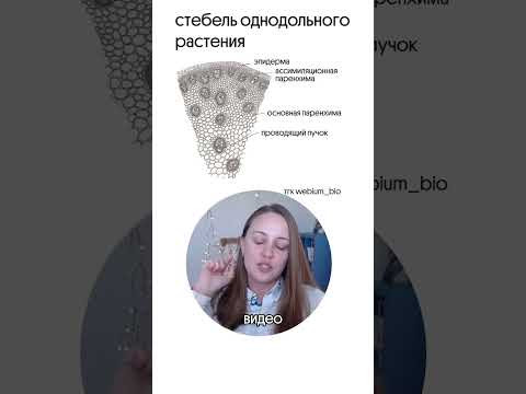 повторим ботанику