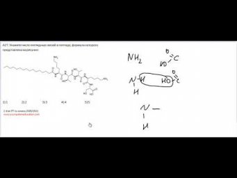 А27 РТ 20-21 этап 2. Пептидные связи. Тесты по химии