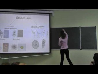 Зоология беспозвоночных. Лекция 1. Борисанова А.О. edit