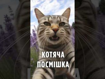 Нарешті зрозуміли мову котів