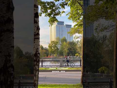 Все успели, что хотели?