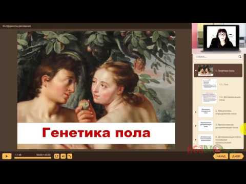 Детерминация пола. Видеоуроки биологии на egebio.ru