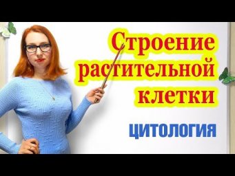 Строение растительной клетки