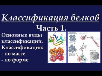 Биохимия. Классификация белков. Ч.1. Система классификации.