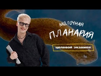 ТИП ПЛОСКИЕ ЧЕРВИ. ПЛАНАРИЯ | Целевой экзамен