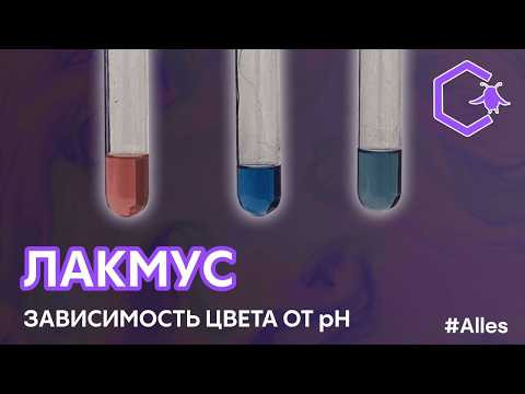 ЛАКМУС: изменение окраски индикатора в зависимости от pH среды