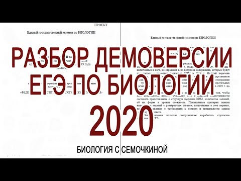 Разбор демоверсии ЕГЭ по биологии 2020 Разбор демоверсии ЕГЭ по биологии 2020