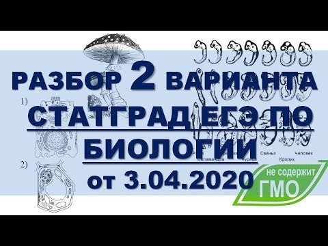 РАЗБОР 2 ВАРИАНТА СТАТГРАД (БИОЛОГИЯ АПРЕЛЬ 2020)