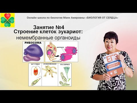 ЕГЭ ПО БИОЛОГИИ.
