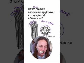 полезные материалы в тгк: webium_bio #биология #биологияегэ #химбио