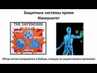 6.2 Иммунитет (8 класс) - биология, подготовка к ЕГЭ и ОГЭ 2019