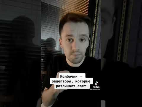 Как глаз различает цвет?