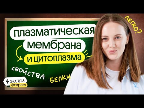 ⚡️РАЗБОР ТЕМЫ, С КОТОРОЙ НУЖНО НАЧАТЬ ПОДГОТОВКУ К ЕГЭ ПО БИОЛОГИИ | СТРОЕНИЕ КЛЕТКИ⚡️ ⚡️РАЗБОР ТЕМЫ, С КОТОРОЙ НУЖНО НАЧАТЬ ПОДГОТОВКУ К ЕГЭ ПО БИОЛОГИИ | СТРОЕНИЕ КЛЕТКИ⚡️