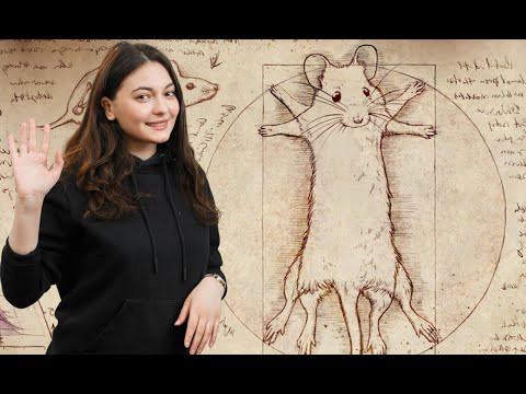 ЦТ B9. Задача на летальные гены и сцепленное с полом наследование