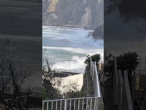 Красота 