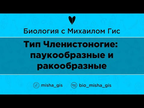 Тип Членистоногие: паукообразные и ракообразные | ЕГЭ ОГЭ Биология с Михаилом Гис