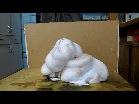 Elephant's Toothpaste: decomposition of hydrogen peroxide by Potassium permanganate Elephant's Toothpaste: decomposition of hydrogen peroxide by Potassium permanganate