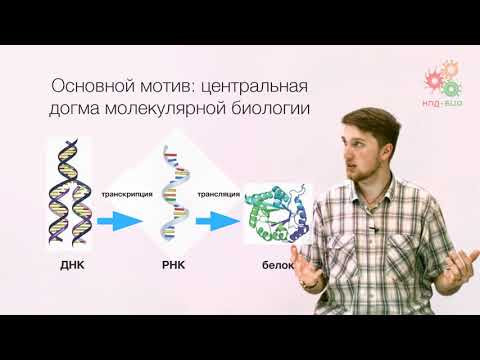 Заключение. Эпилог (без музыки)