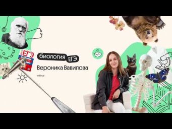 ВСЕ ПРО ЖИЗНЕННЫЕ ЦИКЛЫ РАСТЕНИЙ ДЛЯ ЕГЭ по биологии 2026 | Вероника Вавилова | Вебиум