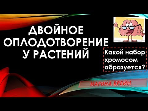Двойное оплодотворение цветковых растений