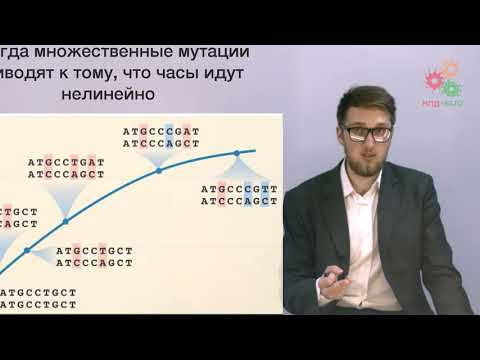 Введение. Генетика популяций. Нейтральная эволюция (без музыки)