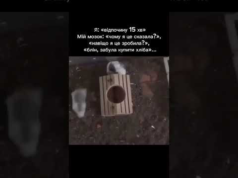 15 березня 2026 р.