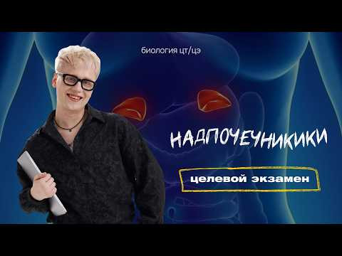 НАДПОЧЕЧНИКИ | Целевой экзамен