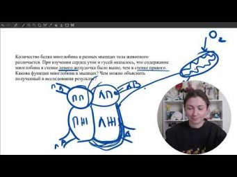 Разбор заданий на миоглобин из ЕГЭ 2023