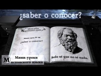N&deg; 24: &iquest;saber o conocer?