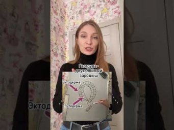 Кто же относится к вторичноротым?
