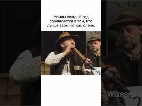 А вы знали, что в Баварии проходит чемпионат по оленьему зову? А вы знали, что в Баварии проходит чемпионат по оленьему зову?