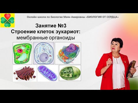 ЛЕТНИЙ КУРС. ЗАНЯТИЕ №3. "Строение клетки: мембранные органоиды" ЛЕТНИЙ КУРС. ЗАНЯТИЕ №3. "Строение клетки: мембранные органоиды"