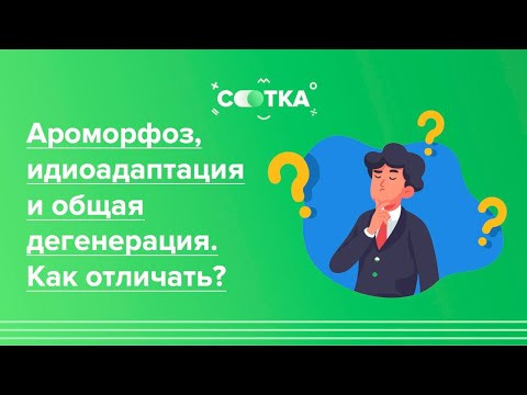 Ароморфоз, идиоадаптация и общая дегенерация. Как отличать? | ЕГЭ БИОЛОГИЯ 2020 | Онлайн-школа СОТКА