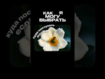 КАК Я ВЫБИРАЮ ВУЗ #обществознание #егэ #поступление #обществознаниеегэ #егэобществознание #сотка