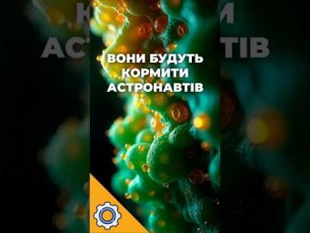 Бактерії годуватимуть астронавтів на Марсі