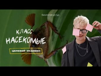 КЛАСС НАСЕКОМЫЕ. МАЙСКИЙ ЖУК | Целевой экзамен