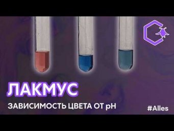 ЛАКМУС: изменение окраски индикатора в зависимости от pH среды