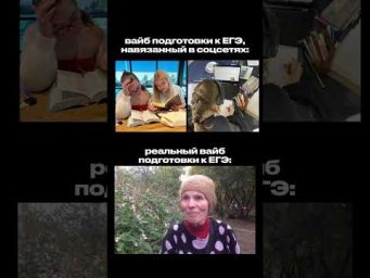 КАКОЙ У ТЕБЯ ВАЙБ? #обществознание #егэ #сотка #школа #обществознаниеегэ #подготовкакегэ #егэ2025