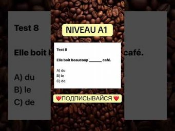 Test 8 NIVEAU A 1 #французскийснуля #французскийонлайн #французскийпополочкам #учитьфранцузский