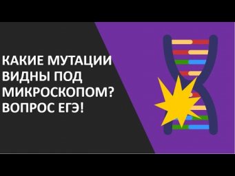 8. Какие мутации видны под микроскопом? Вопрос ЕГЭ!