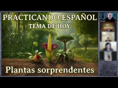 Plantas sorprendentes (Nivel B1)