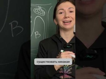 Что такого особенного в растительной клетке? 