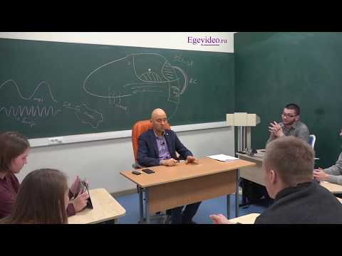 46. Этапы волевого действия: как быстрее освоить биологию? 46. Этапы волевого действия: как быстрее освоить биологию?
