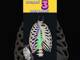 Підготовка до НМТ в телеграм-боті #нмт #biology #биология