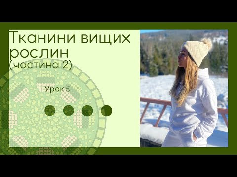 Тканини рослин. Ботаніка. 6 клас. Підготовка до ЗНО