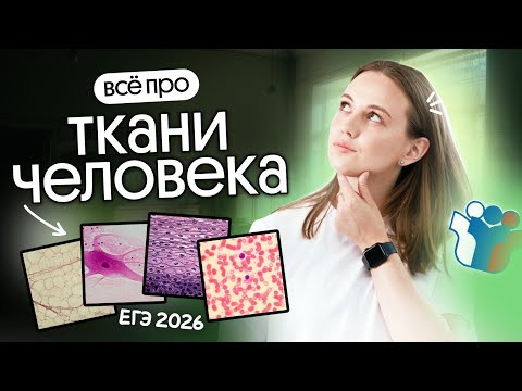 ВСЁ ПРО ТКАНИ И КОЖУ ЧЕЛОВЕКА | Открытый урок ОСНОВЫ