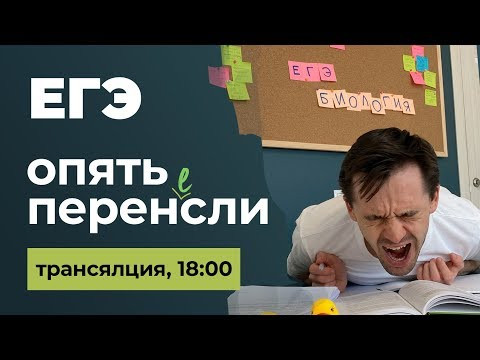 Что теперь делать?! Перенос ЕГЭ, ОГЭ отменили