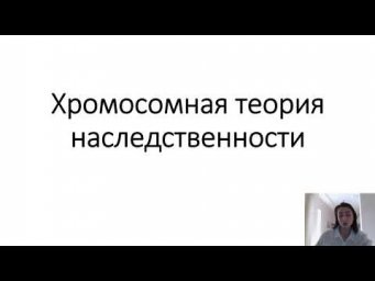 Хромосомная теория наследственности