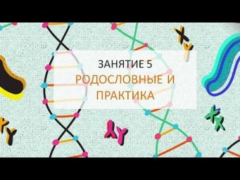 Занятие 5 |  Родословные и практика